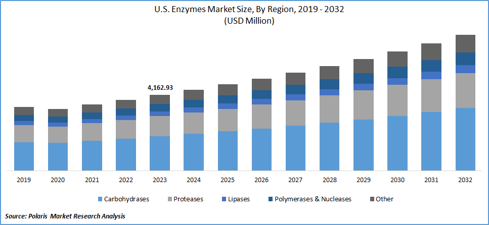 Enzymes Market Size